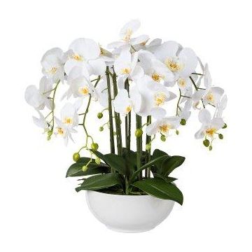 Plastová květina orchidej Phalaenopsis KASDA, keramický květináč, kořeny, bílá, 55cm