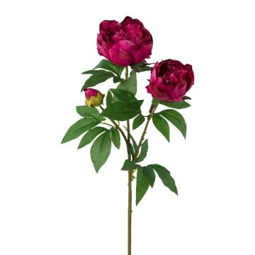 Dekorativní větev pivoňky SLORVE, cerise, 70cm