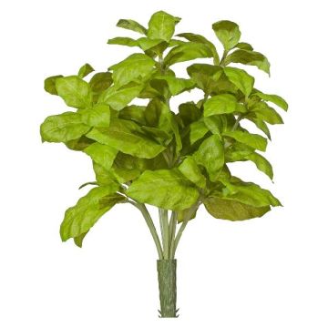 Dekorativní bylina bazalka KRITIKA na tyči, zelená, 28cm Dekorativní bylina bazalka KRITIKA na tyči, zelená, 28cm