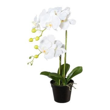 Plastová květina orchidej Phalaenopsis WENJAN, dekorativní květináč, kořeny, bílá, 55cm