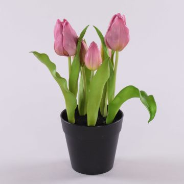 Umělý tulipán CAITLYN v ozdobném květináči, lila zelená, 25cm, Ø2-6cm Umělý tulipán CAITLYN v ozdobném květináči, lila zelená, 25cm, Ø2-6cm