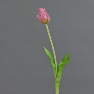 Plastový tulipán LONA, lila-zelený, 45cm, Ø4cm