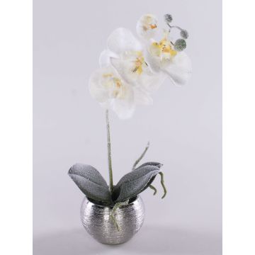 Umělá orchidej Phalaenopsis KAREN, dekorativní květináč, mražená, bílá, 35cm Umělá orchidej Phalaenopsis KAREN, dekorativní květináč, mražená, bílá, 35cm