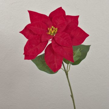 Sametová poinsettie LIBASSE, červená, 50cm