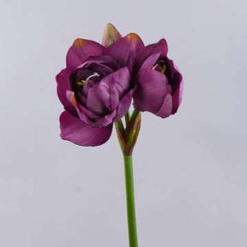 Umělá květina Amaryllis MAURINE, fialová, 80 cm Umělá květina Amaryllis MAURINE, fialová, 80 cm