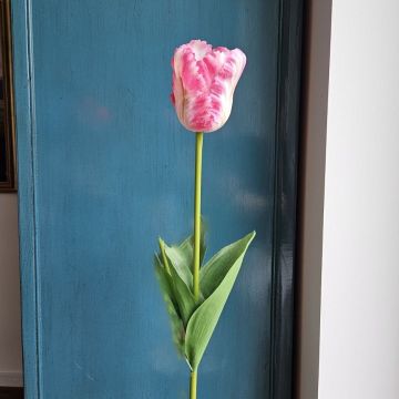 Plastová květina papoušek tulipán PETSCHORA, tmavě růžovo-krémová, 65cm Plastová květina papoušek tulipán PETSCHORA, tmavě růžovo-krémová, 65cm