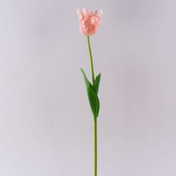 Plastový květ papoušek tulipán PETSCHORA, meruňkově růžový, 65cm