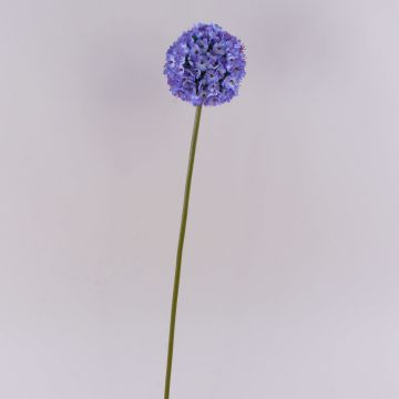 Umělý česnek LOKJAN, fialový, 70 cm Umělý česnek LOKJAN, fialový, 70 cm