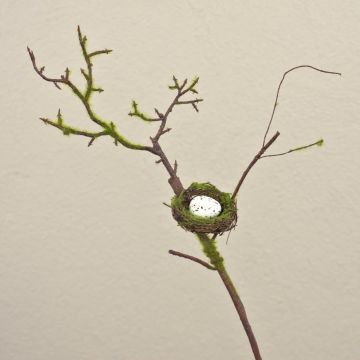 Umělá jabloňová větev INDIKIRKA s ptačím hnízdem, mech, hnědozelená, 75cm Umělá jabloňová větev INDIKIRKA s ptačím hnízdem, mech, hnědozelená, 75cm