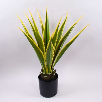 Umělá agáve furcraea gigantea CHERIE, zelenožlutá, 80cm Umělá agáve furcraea gigantea CHERIE, zelenožlutá, 80cm