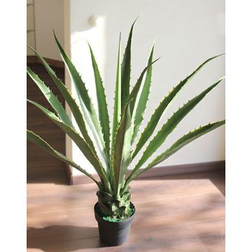 Umělá agáve furcraea gigantea CHERIE, zeleno-šedá, 80cm