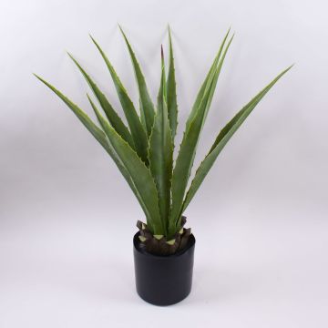 Umělá agáve furcraea gigantea CHERIE, zeleno-šedá, 80cm Umělá agáve furcraea gigantea CHERIE, zeleno-šedá, 80cm