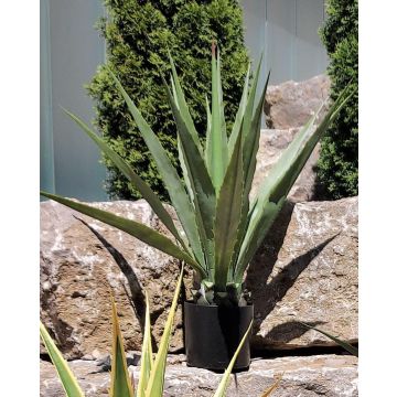 Umělá Agave furcraea gigantea CHERIE, zeleno-šedá, 100cm