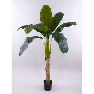 Umělá palma banánovník SHARA, 150cm Umělá palma banánovník SHARA, 150cm