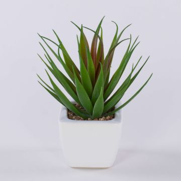 Dekorativní Agave decipiens KATNISS v keramickém květináči, zeleno-červená, 19cm