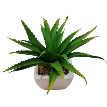 Dekorativní aloe vera KATNISS, keramický květináč, zelená barva, 19cm
