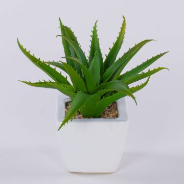 Dekorativní aloe vera KATNISS, keramický květináč, zelená barva, 19cm Dekorativní aloe vera KATNISS, keramický květináč, zelená barva, 19cm
