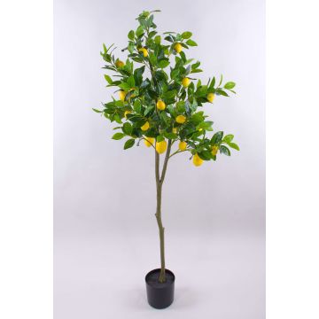 Umělý citroník AINSLEY s plody, umělý kmen, 150cm Umělý citroník AINSLEY s plody, umělý kmen, 150cm