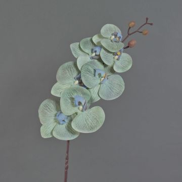 Umělá větvička orchideje Phalaenopsis LAWANDA, bílo-fialová, 90cm