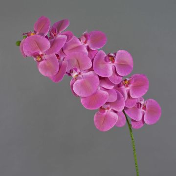 Umělá větev orchideje Phalaenopsis XURI, růžová, 100cm