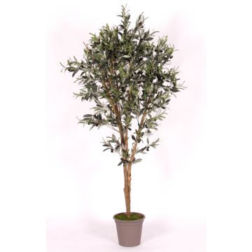 Umělý olivovník MIANA, přírodní kmeny, s plody, 175cm - vyrobeno v Itálii