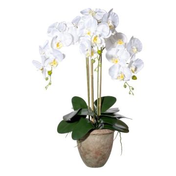 Textilní orchidej Phalaenopsis FRIMTOR v terakotovém květináči, kořeny, bílá, 75cm