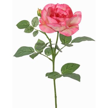 Umělá růže WAIOLA, růžovo-fuchsiová, 65cm, Ø11cm Umělá růže WAIOLA, růžovo-fuchsiová, 65cm, Ø11cm
