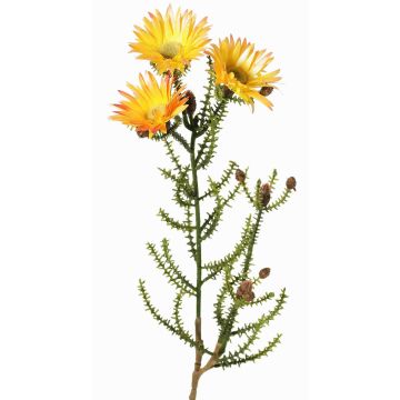 Dekorační slaměný květ BEYA, žluto-světle oranžový, 60cm, Ø6cm Dekorační slaměný květ BEYA, žluto-světle oranžový, 60cm, Ø6cm