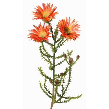 Dekorativní čepec nesmrtelná BEYA, oranžovo-žlutá, 60cm, Ø6cm Dekorativní čepec nesmrtelná BEYA, oranžovo-žlutá, 60cm, Ø6cm