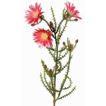 Dekorační pláštěnka slaměnka BEYA, růžovo-fuchsiová, 60cm, Ø6cm Dekorační pláštěnka slaměnka BEYA, růžovo-fuchsiová, 60cm, Ø6cm