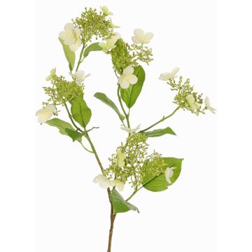 Dekorativní hortenzie KATHANI, bílo-zelená, 80cm, Ø10-13cm Dekorativní hortenzie KATHANI, bílo-zelená, 80cm, Ø10-13cm
