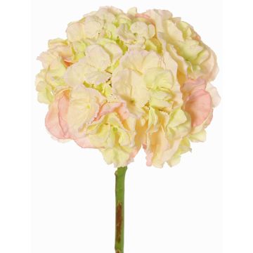 Umělá hortenzie LIRLAFY, zeleno-růžová, 65cm, Ø20cm Umělá hortenzie LIRLAFY, zeleno-růžová, 65cm, Ø20cm