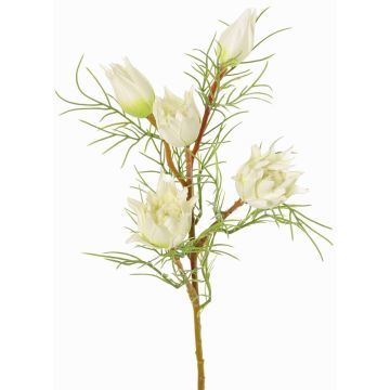 Dekorativní větev Protea NOHEA, bílá, 60cm, Ø3-6cm Dekorativní větev Protea NOHEA, bílá, 60cm, Ø3-6cm