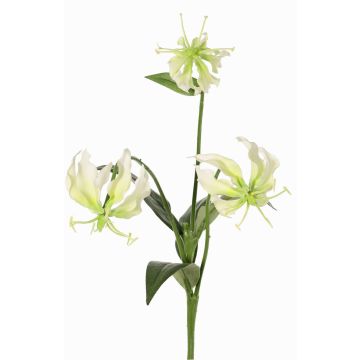 Dekorativní květina Gloriosa XELA, bílo-zelená, 50cm, Ø4-7cm Dekorativní květina Gloriosa XELA, bílo-zelená, 50cm, Ø4-7cm