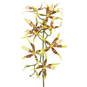 Umělá větev orchideje brasie ORELA, žlutočervená, 90cm