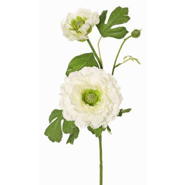 Umělý ranunculus SAGARA, bílo-zelený, 45cm, Ø5-9cm Umělý ranunculus SAGARA, bílo-zelený, 45cm, Ø5-9cm