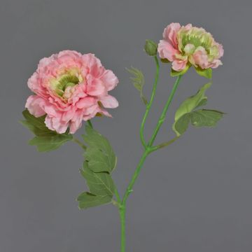 Umělý ranunculus SAGARA, růžový, 45cm, Ø5-8cm Umělý ranunculus SAGARA, růžový, 45cm, Ø5-8cm