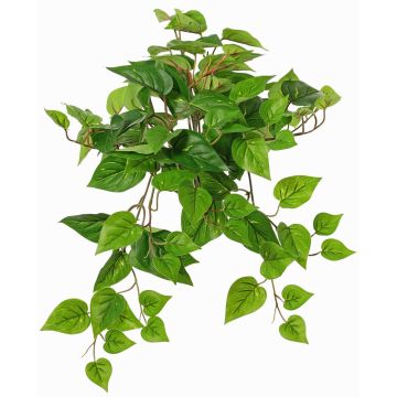 Dekorativní břečťanová závěsná rostlina SHELLEY na tyči, Eco Collection, zelená, 55cm Dekorativní břečťanová závěsná rostlina SHELLEY na tyči, Eco Collection, zelená, 55cm
