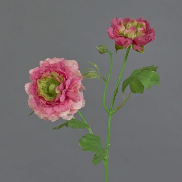 Umělý ranunculus SAGARA, růžovo-růžový, 45cm, Ø5-8cm Umělý ranunculus SAGARA, růžovo-růžový, 45cm, Ø5-8cm