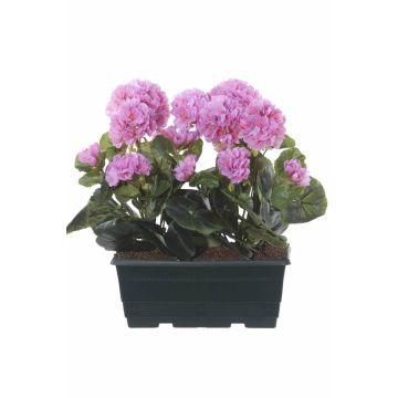Umělé muškáty FLOREANA v květináči, 2 ks, fialové, 24 x 11 x 35 cm Umělé muškáty FLOREANA v květináči, 2 ks, fialové, 24 x 11 x 35 cm