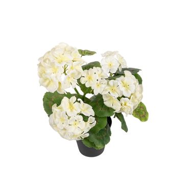 Umělá geránie ELISABETTA v dekorativním květináči, bílá, 35 cm Umělá geránie ELISABETTA v dekorativním květináči, bílá, 35 cm