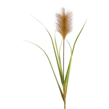 Okrasná pampová tráva JIRZA, zástrčka, hnědá, 105cm Okrasná pampová tráva JIRZA Okrasná pampová tráva JIRZA, zástrčka, hnědá, 105cm Okrasná pampová tráva JIRZA