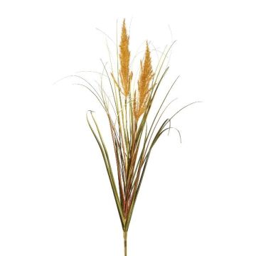 Dekorativní pampová tráva WAHAN s latami, kůl, hnědá, 105cm Dekorativní pampová tráva WAHAN s latami, kůl, hnědá, 105cm