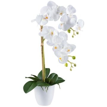 Dekorativní květina orchidej Phalaenopsis BLENTOR v melaminovém květináči, kořeny, bílá, 55cm Dekorativní květina orchidej Phalaenopsis BLENTOR v melaminovém květináči, kořeny, bílá, 55cm