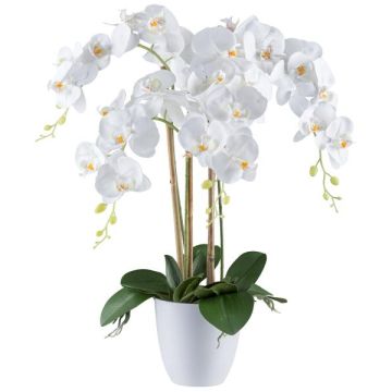 Dekorativní květina orchidej Phalaenopsis BLENTOR v melaminovém květináči, kořeny, bílá, 60cm