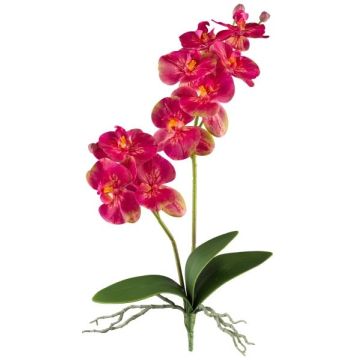 Dekorativní květina Phalaenopsis orchidej KRUZBER, tyč, kořeny, růžová, 55cm Dekorativní květina Phalaenopsis orchidej KRUZBER, tyč, kořeny, růžová, 55cm