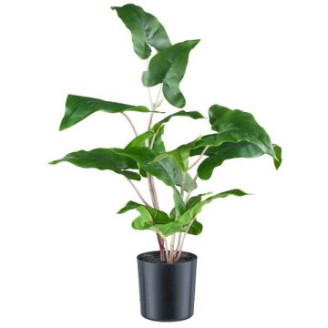 Umělá rostlina Anthurium MEHNDAS, zelená, 50cm