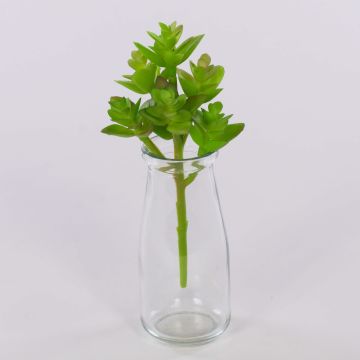 Umělá echevérie gibbiflora TROY, zápich, zeleno-červená, 17cm, Ø9cm Umělá echevérie gibbiflora TROY, zápich, zeleno-červená, 17cm, Ø9cm