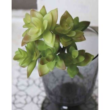 Umělá echevérie gibbiflora TROY, zápich, zeleno-červená, 17cm, Ø9cm