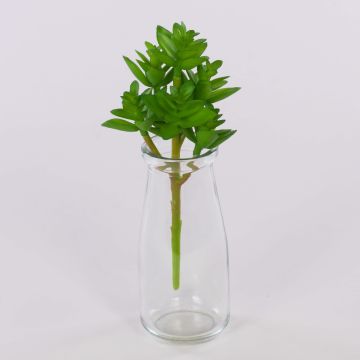 Umělá echevérie gibbiflora TROY, zápich, zelená, 17cm, Ø9cm Umělá echevérie gibbiflora TROY, zápich, zelená, 17cm, Ø9cm